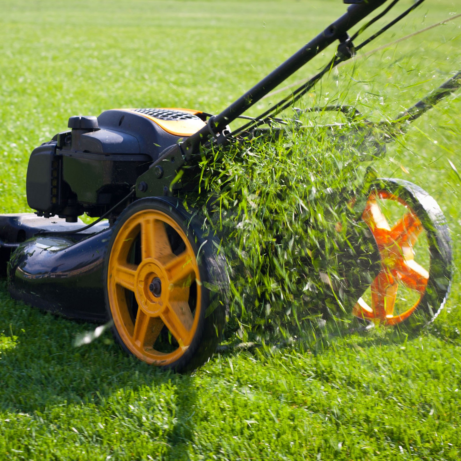 Ball Bearings – [1-1/4 Inch x 2-1/2 Inch x 5/8 Inch] Chrome Steel