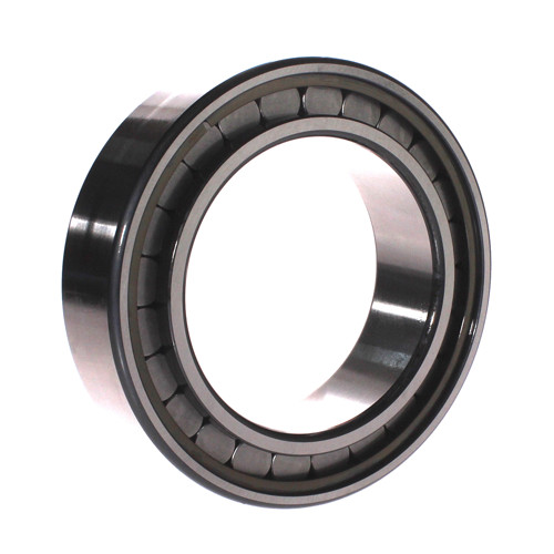 SL183022-A-C3 INA/Schaeffler Technologies 110 x 170 x 45 mm CYL. ROLL. SINGLE…