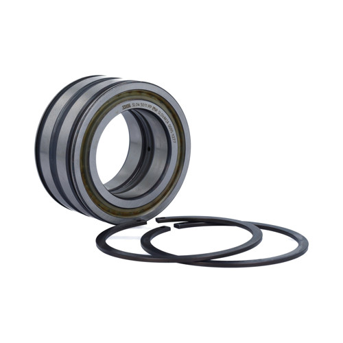 SL045011-PP-2NR INA/Schaeffler Technologies 55 x 90 x 46 mm CYL. ROLL. DOUBLE…