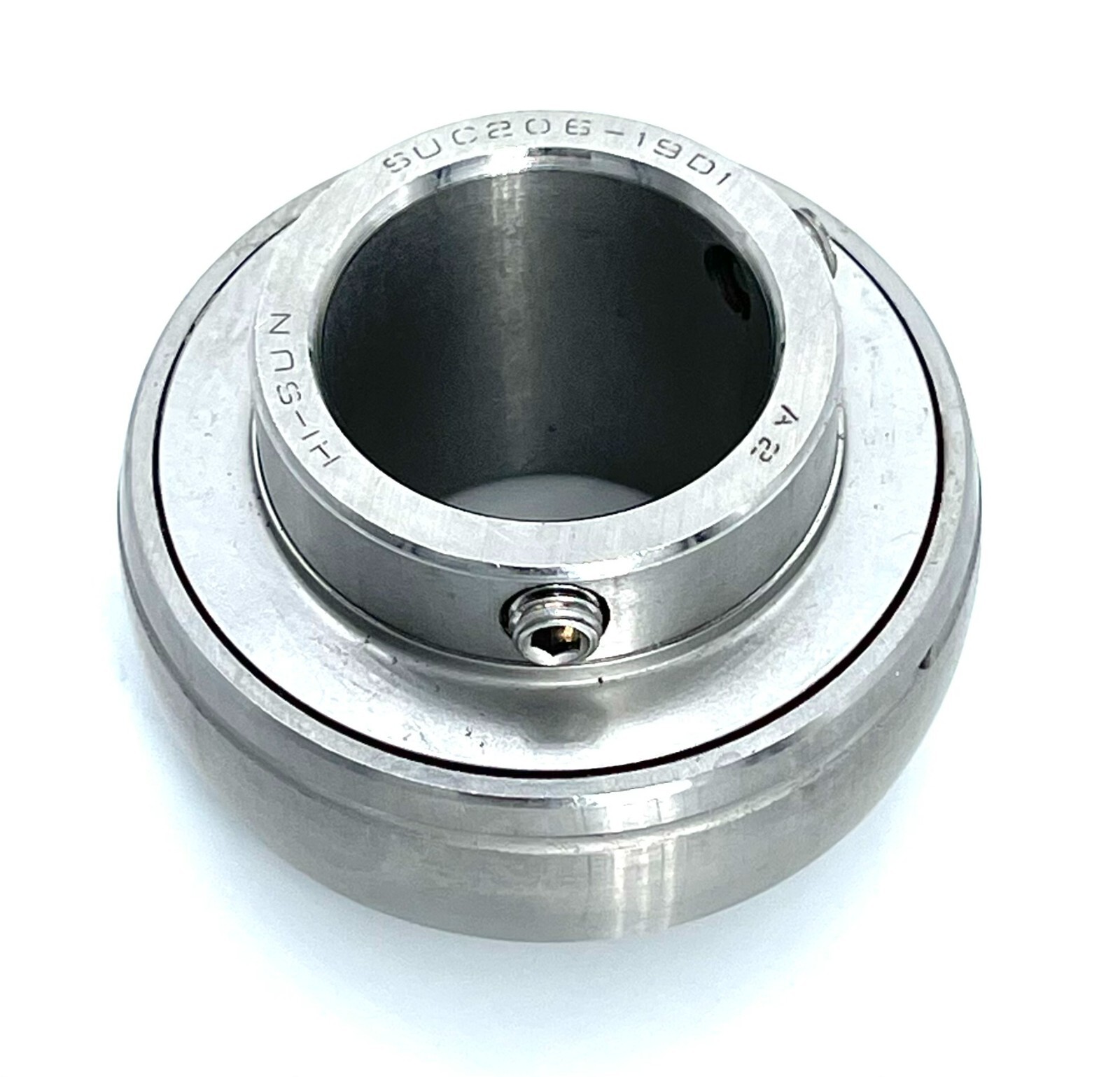 SUC206-19 D1 Insert Stainless Bearing