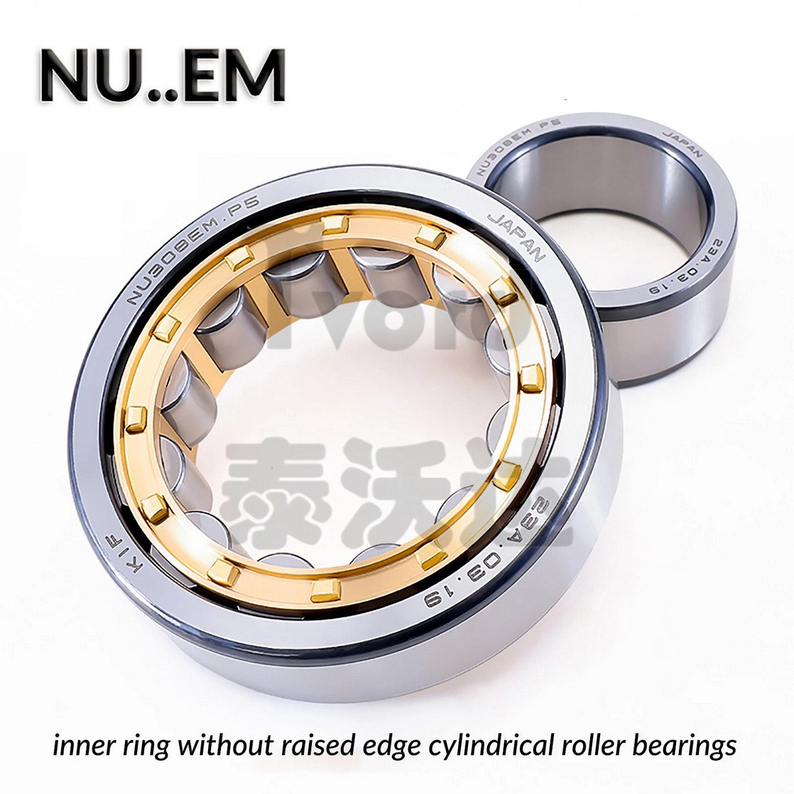 N/NU/NJ Radial Rolling Cylindrical Roller Bearing 15-100mm Bore Brass/Steel Cage