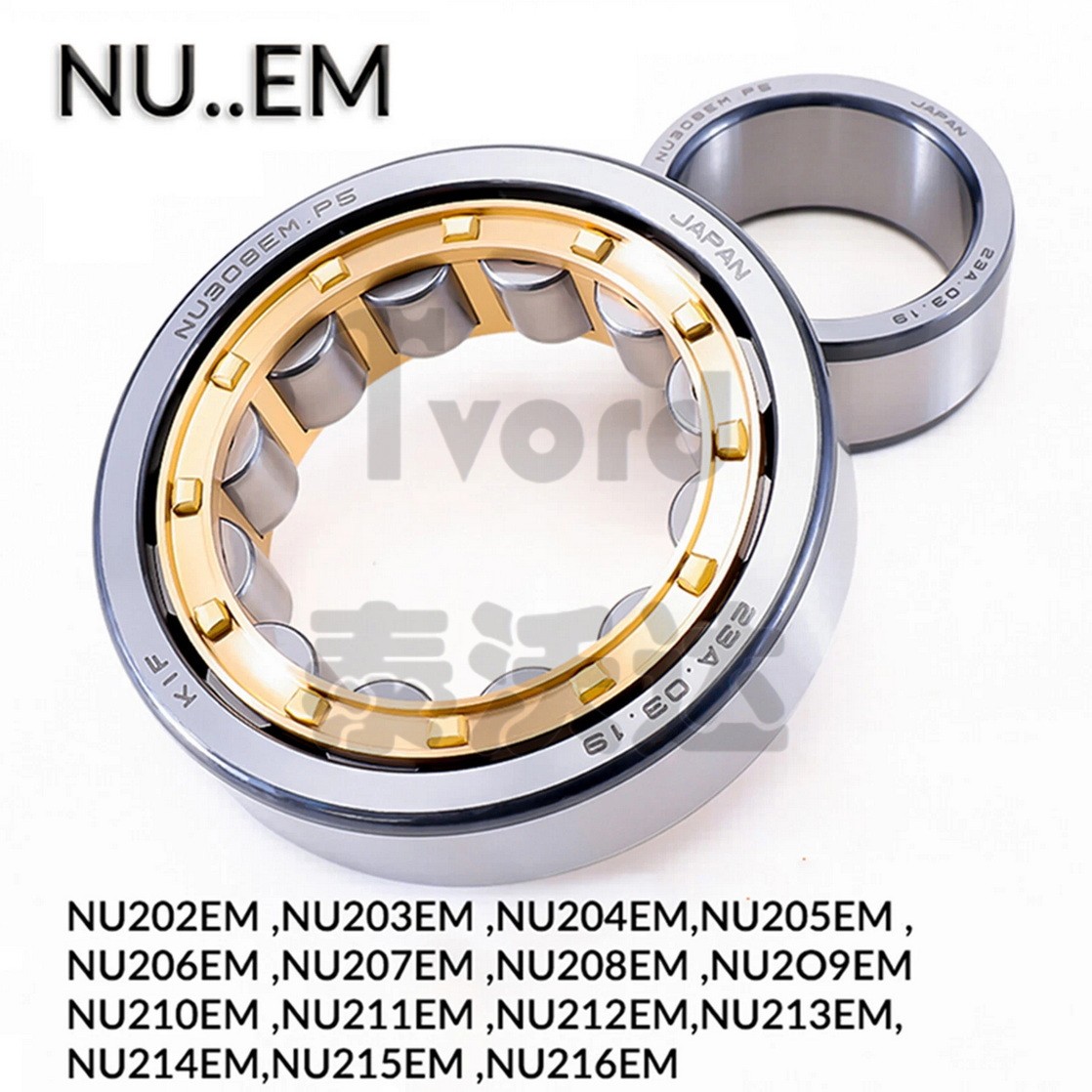 N/NU/NJ Radial Rolling Cylindrical Roller Bearing 15-100mm Bore Brass/Steel Cage