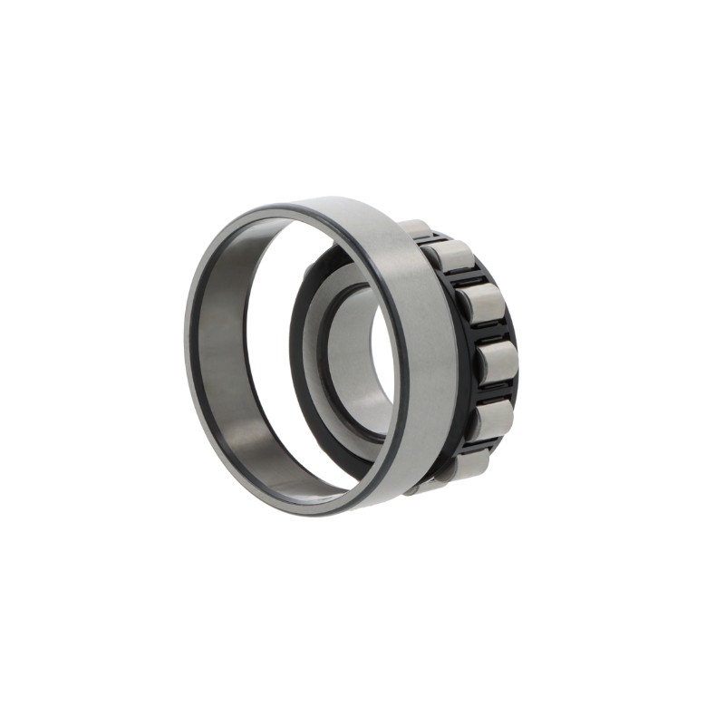 FAG N1017-D-K-TVP-SP-XL 85x130x22mm Bearings (1pc) New in stock at MRO2DAY