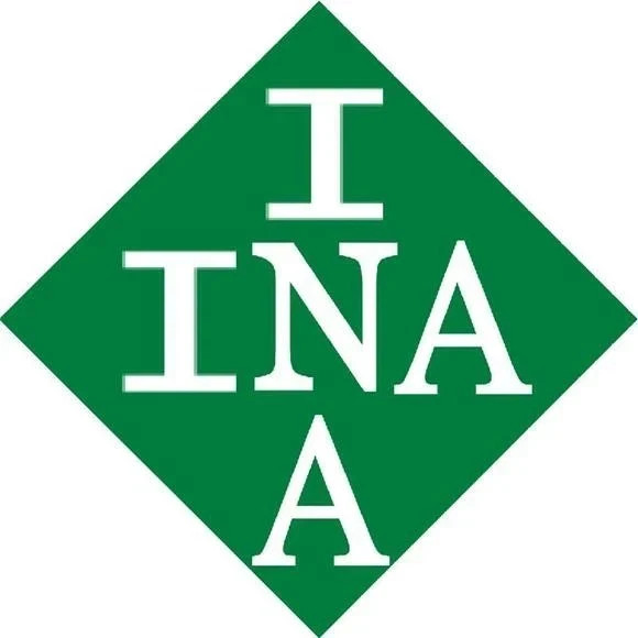 INA AXK1730 Needle Roller Thrust Bearing 17x30x2 mm + AS1730 Washers