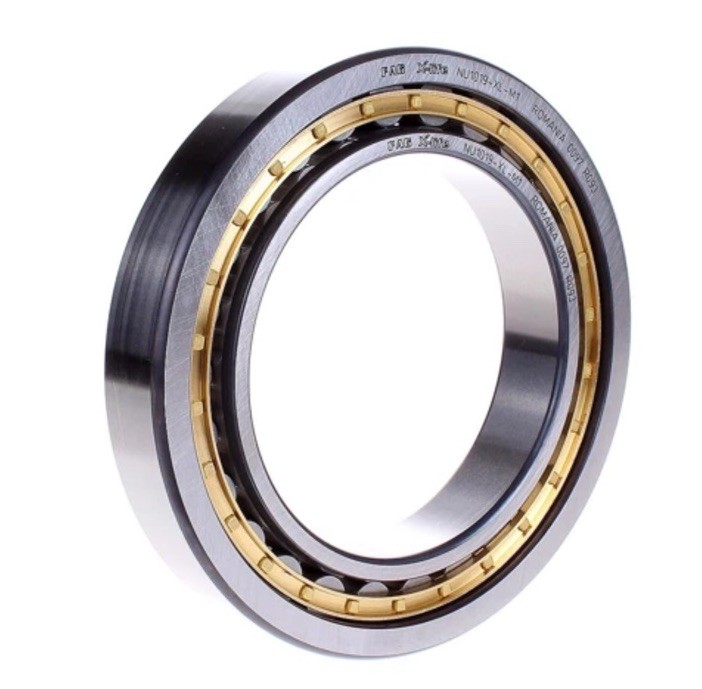 NU1019-XL-M1 FAG/Schaeffler Technologies 95 x 145 x 24 mm CYL. ROLL. SINGLE ROW