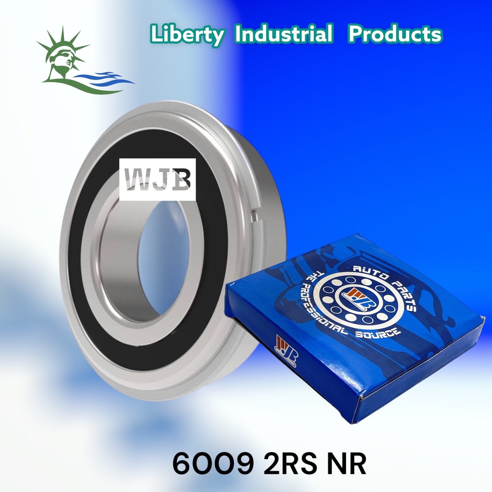 6009-2RS-NR WJB Radial Ball Bearing W/2 Seals & Snap Ring (R6S1C) By PBS