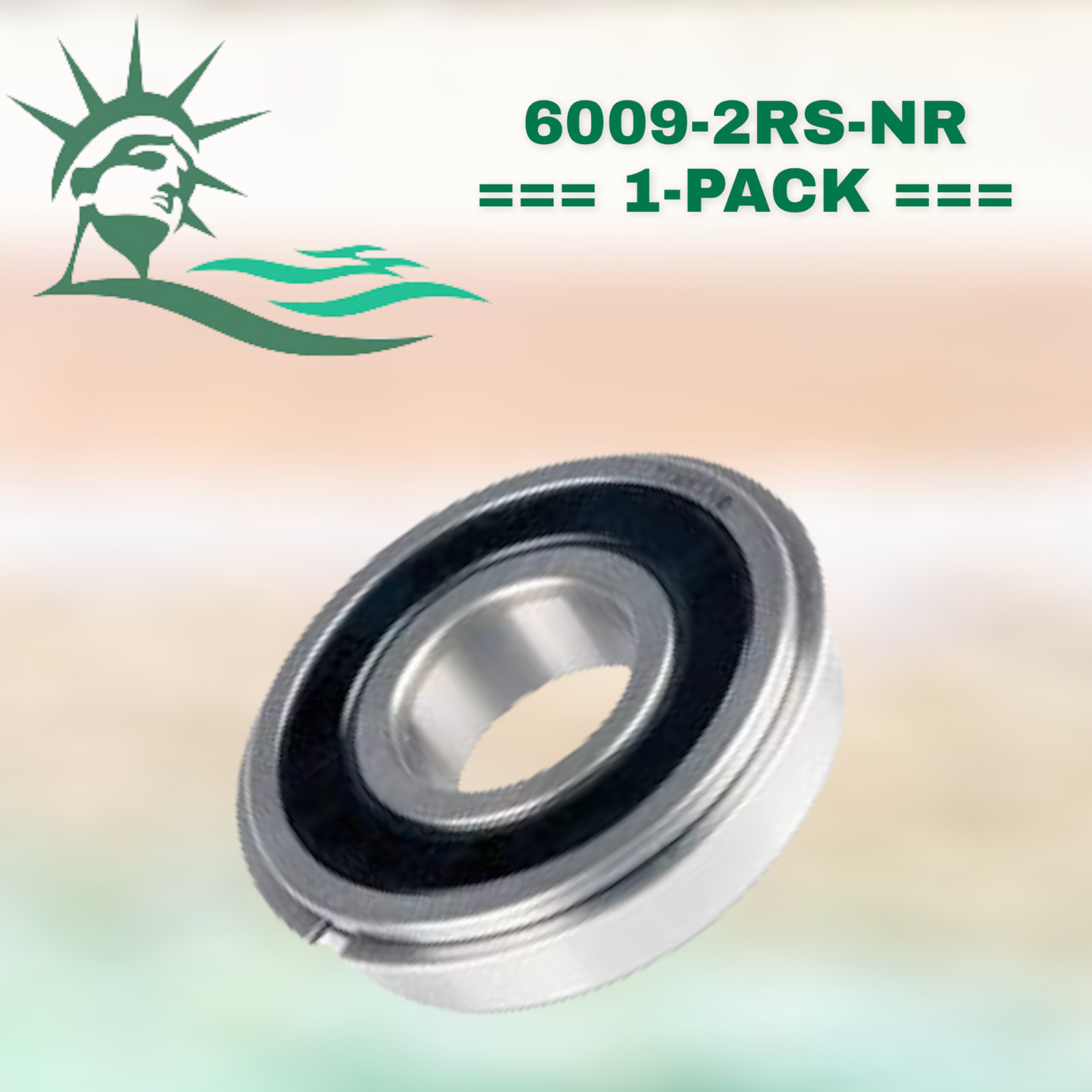 6009-2RS-NR WJB Radial Ball Bearing W/2 Seals & Snap Ring (R6S1C) By PBS