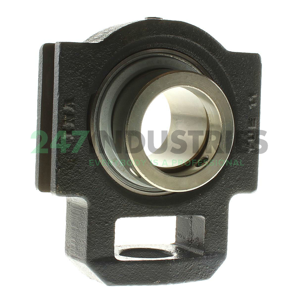 TTUE55 INA/Schaeffler Technologies 55 x 169 x 145 mm HOUSING/BEARING ASSY