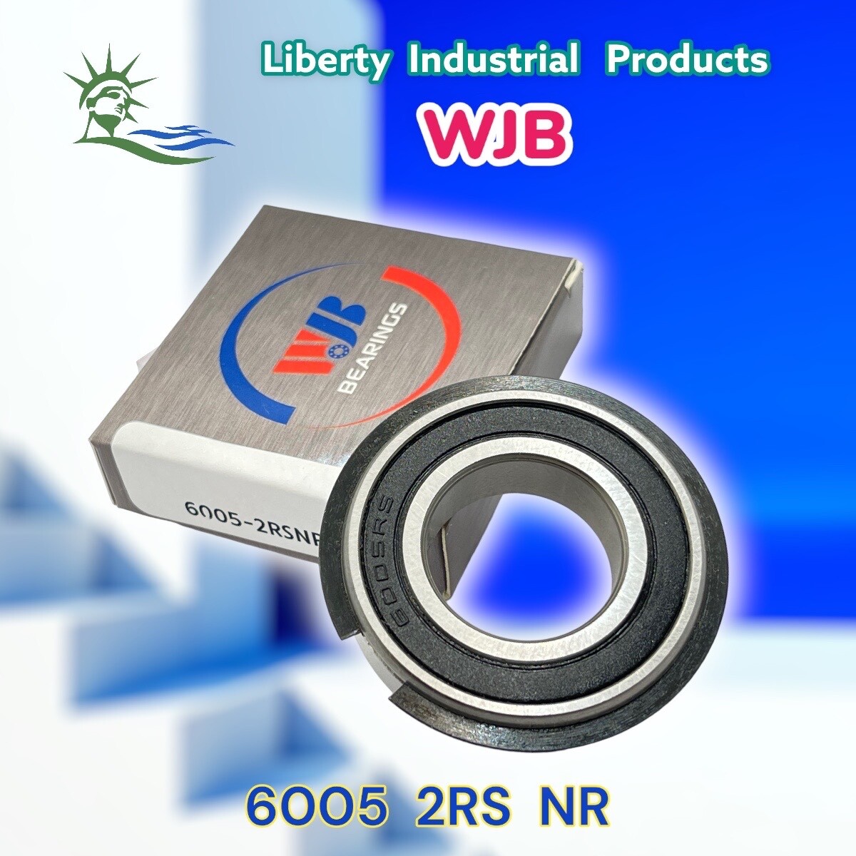 6005-2RS-NR WJB Radial Ball Bearing W/2 Seals & Snap Ring R6S6B By Premium Brg