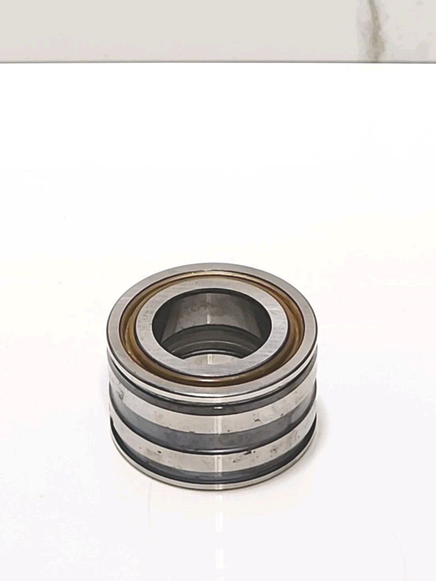 BRAND NEW!! INA SL04 5006 PP BEARING CYLINDRICAL DOUBLE ROW 30mm ID 55mmOD NNB
