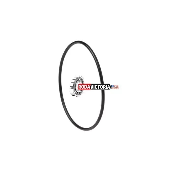 DICHTOMATIK Italy OR118 2-O ring, NBR (Perbunan) ID 118 mm