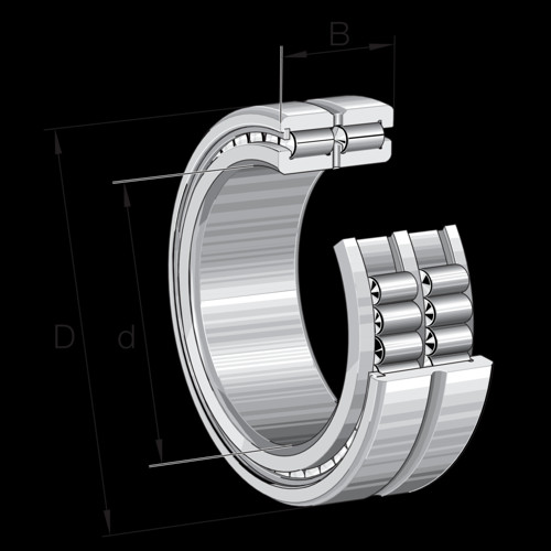 SL185026-A-C3-2S INA 130 x 200 x 95 mm CYL. ROLL. DOUBLE ROW
