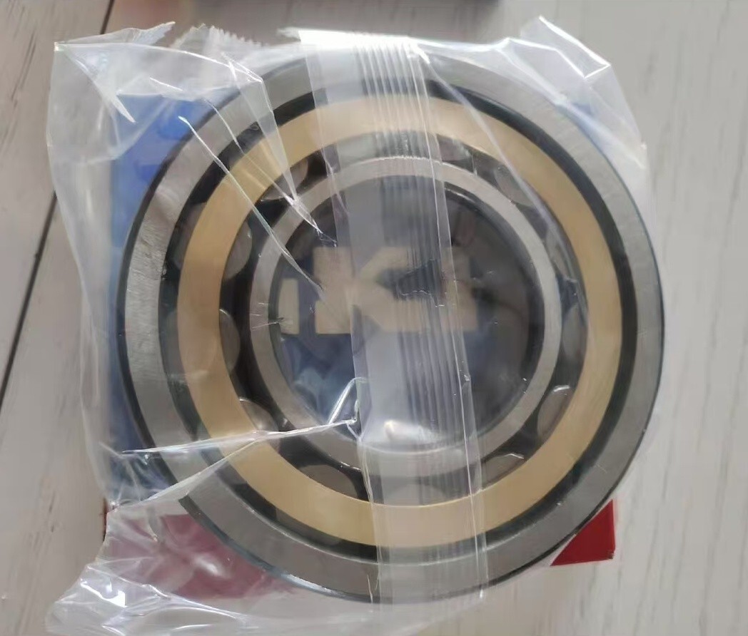 NEW SKF NU 313 ECM cylindrical roller bearing 1PCS #NN