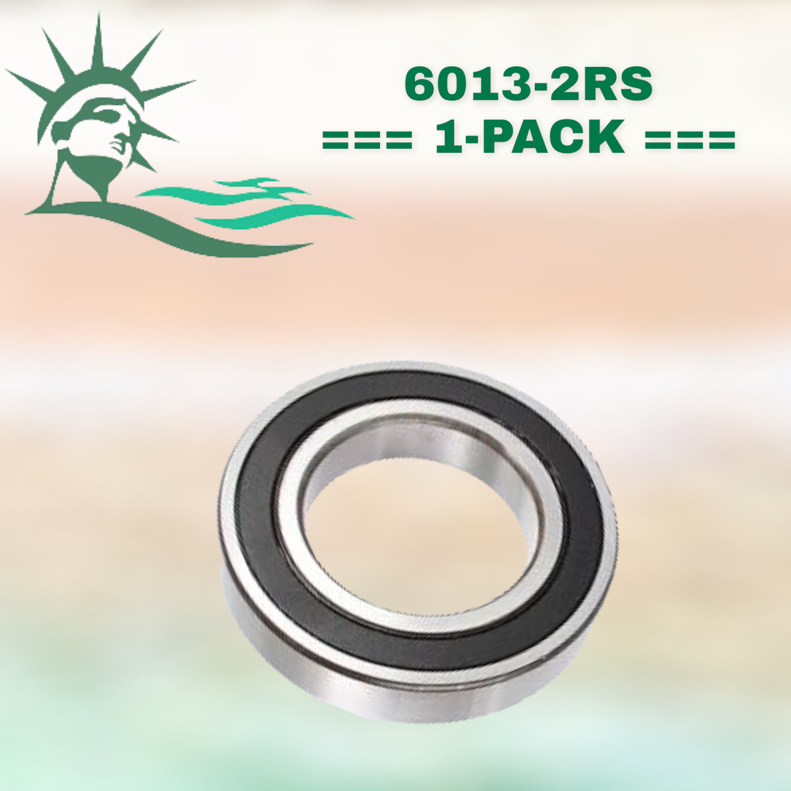 6013-2RS WJB Radial Ball Bearing W/2 Seals R6S4C