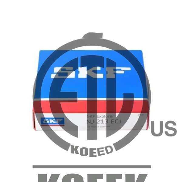 NEW SKF NJ 213 ECJ single row cylindrical roller bearing 1PCS #DC