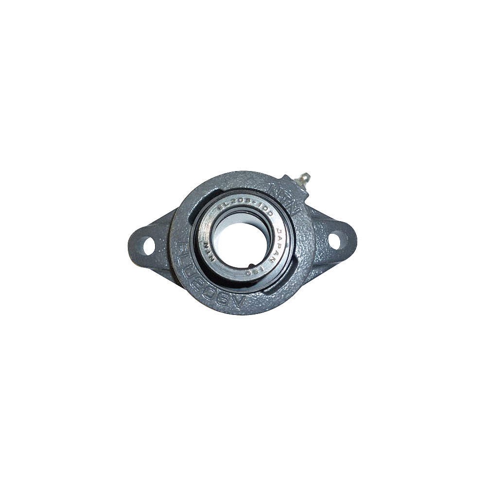 NTN 2 Bolt Flng Brg,Radial Ball,15/16in Bore 5RZA8
