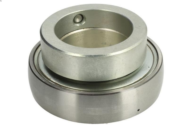 Bearing INA GRAE55-XL-NPP-B