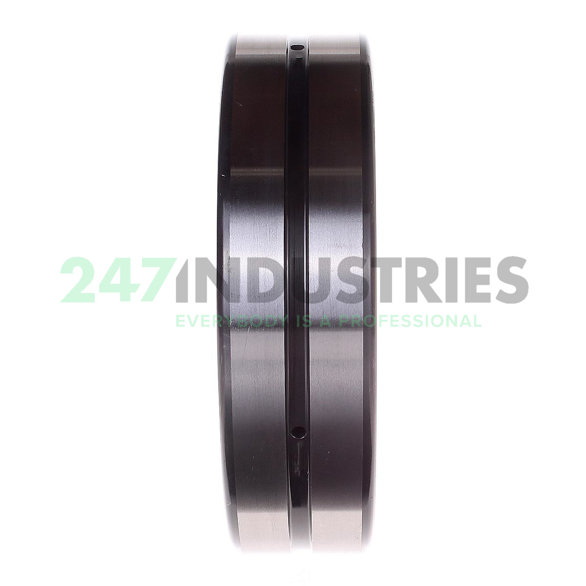 23022CDE4S11 NSK Nippon Seiko 110 x 170 x 45 mm SPHERICAL ROLLER