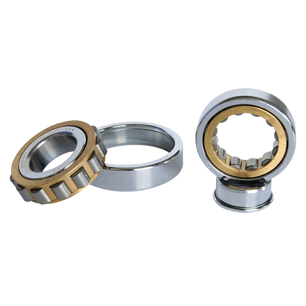 15mm to 100mm Bore Radial Rolling Cylindrical Roller Bearings N/NU/NJ 202 to 220