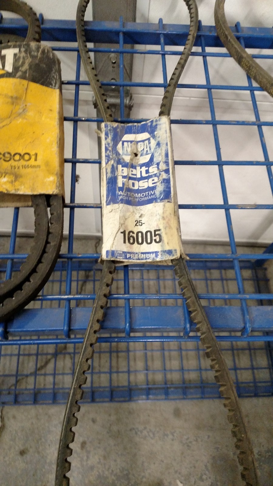 NAPA Belt 16005