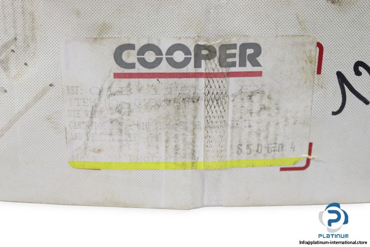 COOPER 01B 115MMEX SPLIT CYLINDRICAL ROLLER BEARING_0107EX / 0278 V04 4796_115mm