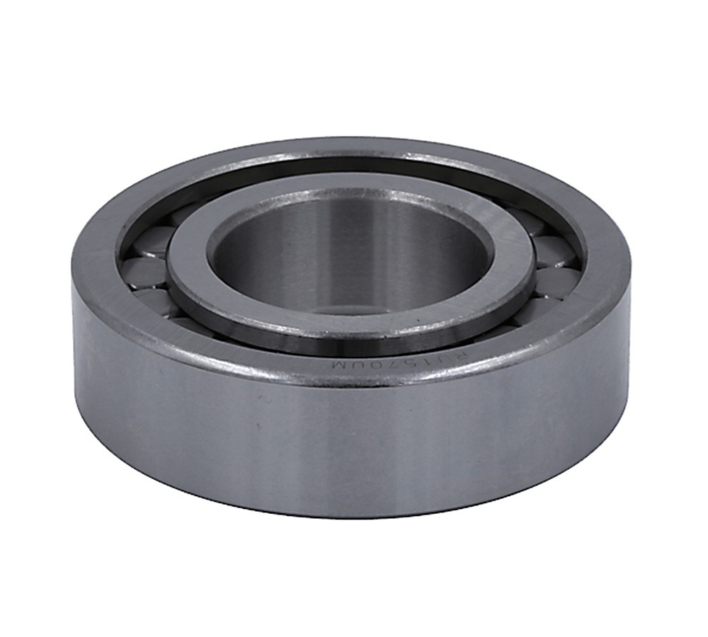 2 Pack Cylindrical Bearing 1.37″ ID 2.83″ OD RU1570UM 1228F552 401HD100 BS225977