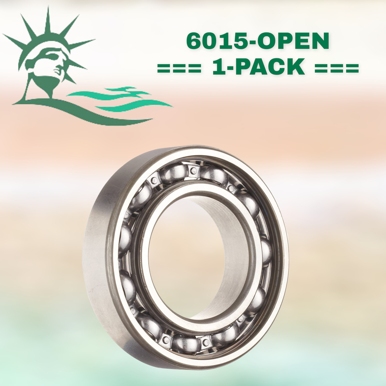 6015 WJB Radial Ball Bearing-Open