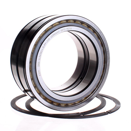 SL045024-D-PP-2NR INA 120 x 180 x 80 mm CYL. ROLL. DOUBLE ROW