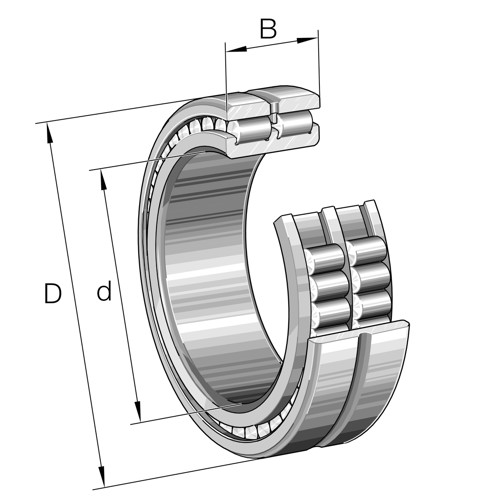 SL024860-A INA/Schaeffler Technologies 300 x 380 x 80 mm CYL. ROLL. DOUBLE ROW