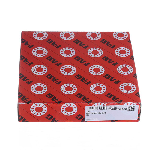 NU1019-XL-M1-C3 FAG/Schaeffler Technologies 95 x 145 x 24 mm CYL. ROLL. SINGL…