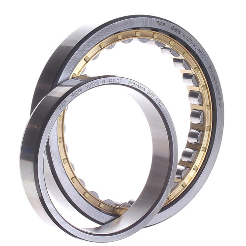 NU1019-XL-M1-C3 FAG/Schaeffler Technologies 95 x 145 x 24 mm CYL. ROLL. SINGL…