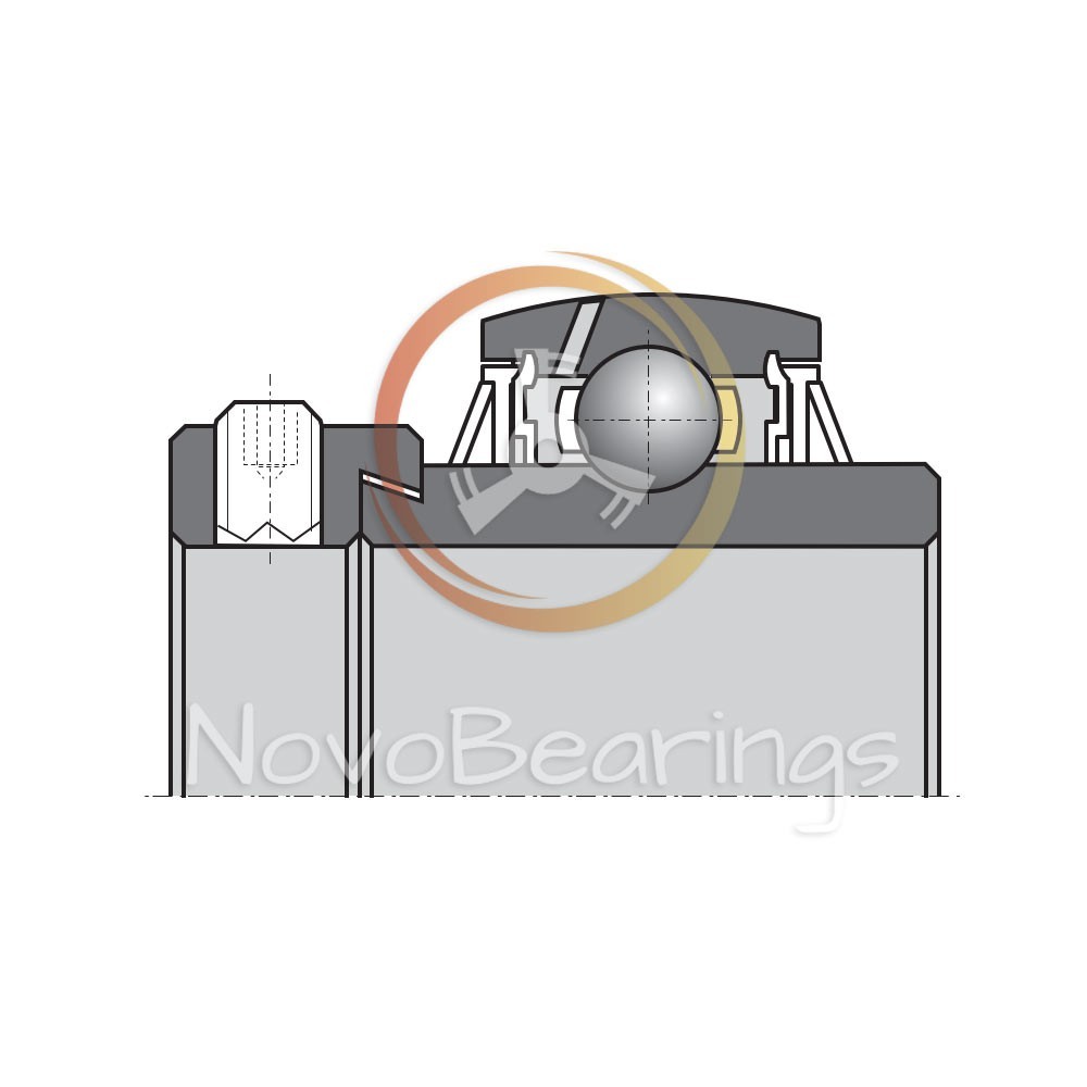 RL207C3/L666 Single Row Insert Ball Bearing 35x72x37,6 mm. by NTN brand
