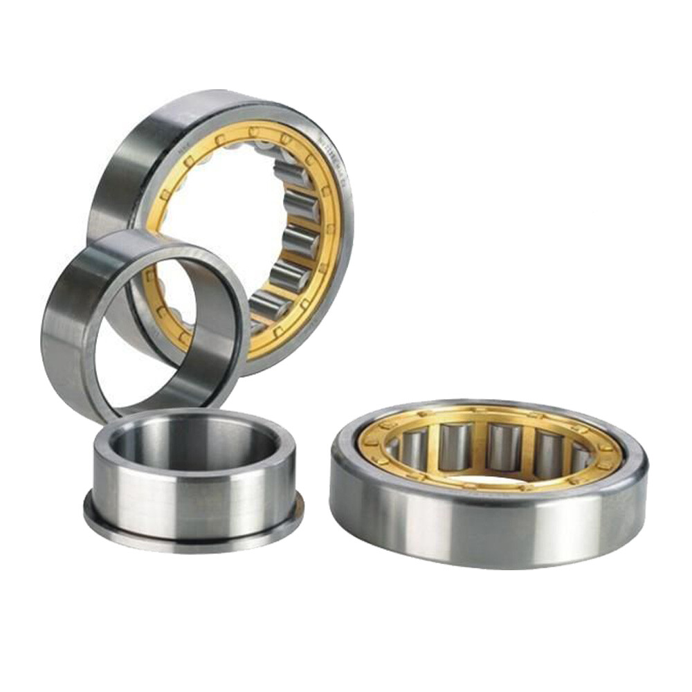 15mm to 100mm Bore Radial Rolling Cylindrical Roller Bearings N/NU/NJ 202 to 220