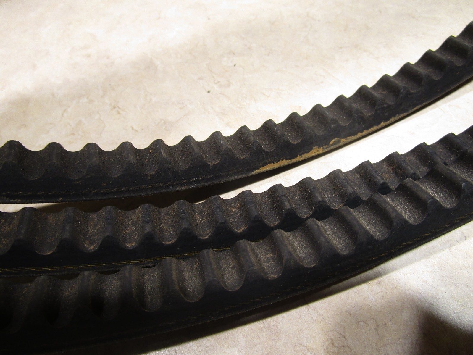 CONTINENTAL BX136 TIMING BELT, Q0100