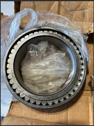 NEW INA SL024936-A-C3 Full Complement Cylindrical Roller Bearing 180x250x69 OEM