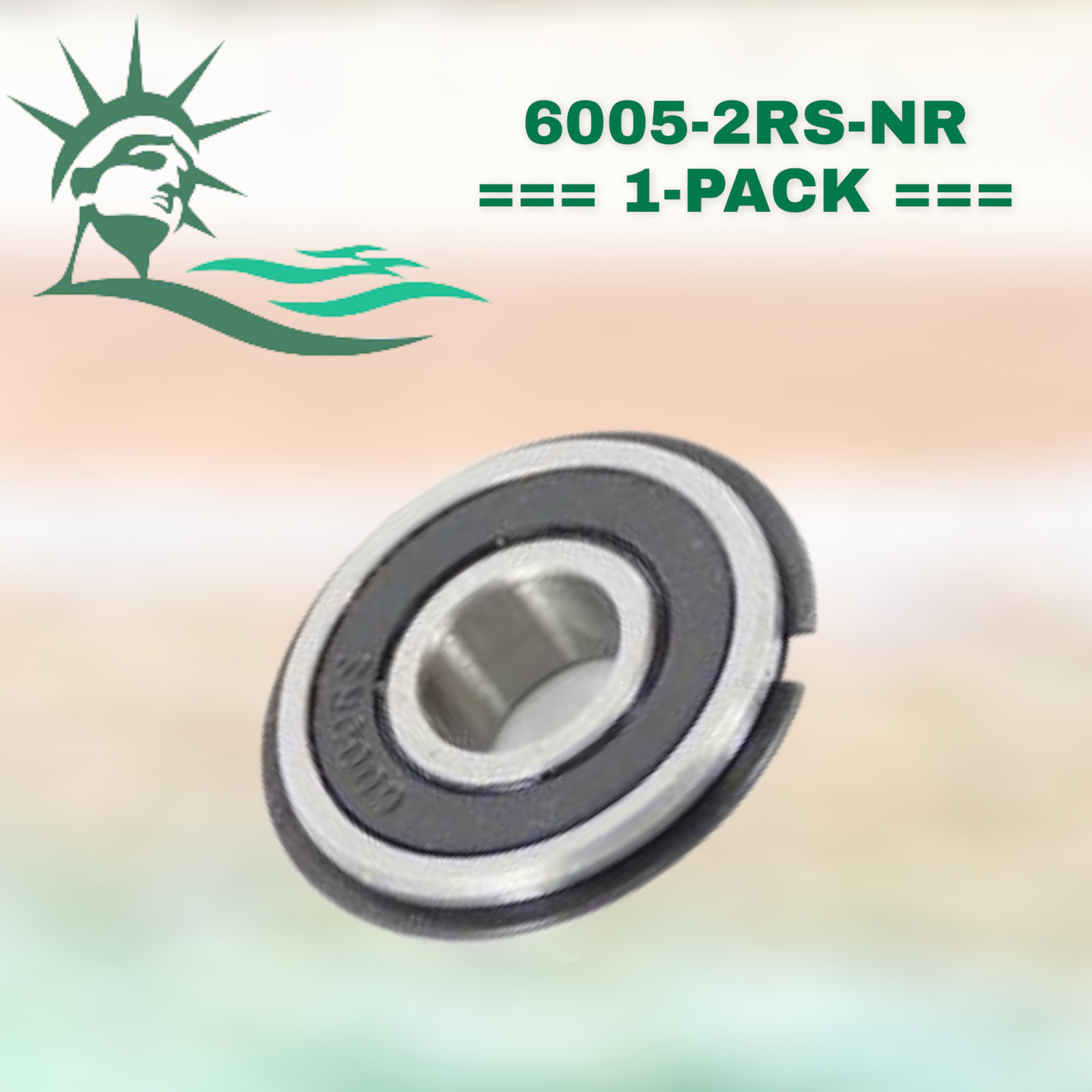 6005-2RS-NR WJB Radial Ball Bearing W/2 Seals & Snap Ring R6S6B By Premium Brg
