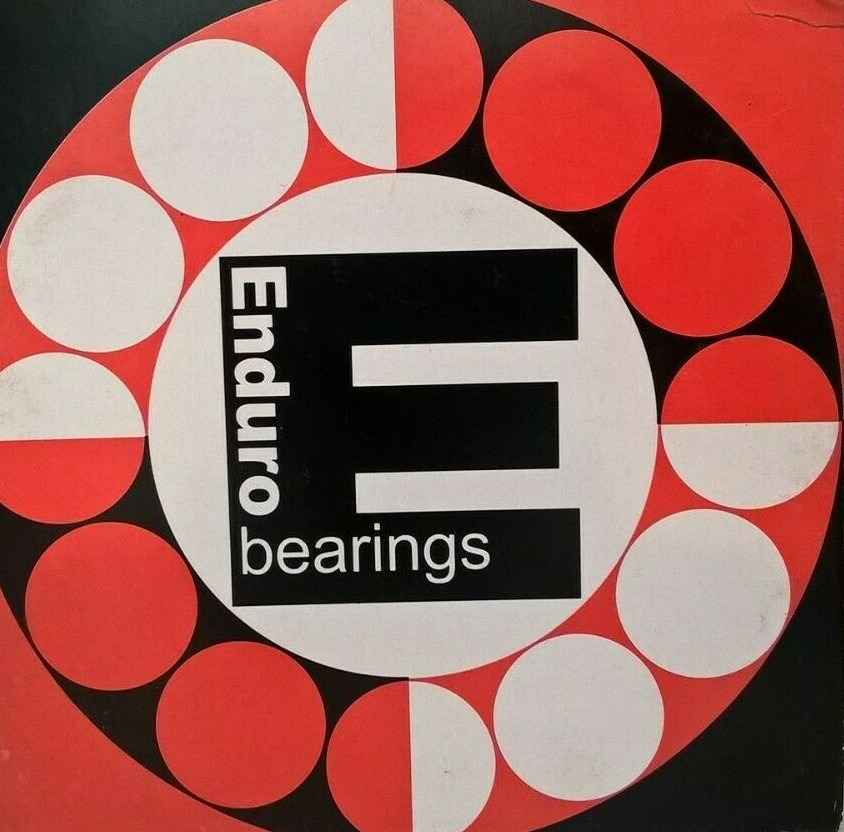 6004 2RS ENDURO BALL BEARING