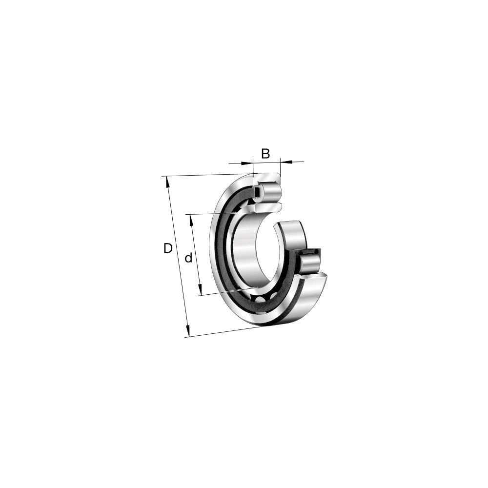 FAG NU311E.M1.C3 Roller Bearing