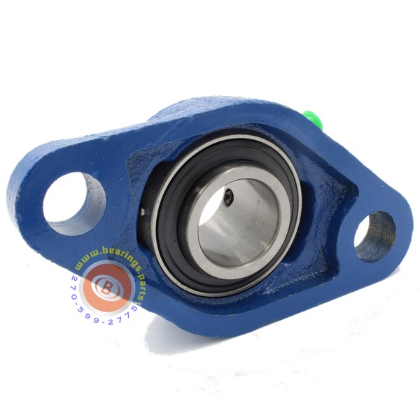 UCFL205-100 Two-Bolt Cast Iron Flange Bearing Unit 1" ID – Baltic Bearing